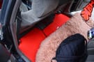 Коврики на Toyota Mark II (100) 1996 - 2001 в Уфе