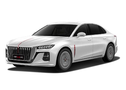 EVA коврики на Hongqi H5 II 2022 - 2025 в Уфе