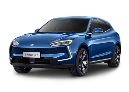 Ворсовые коврики на Seres SF5 2019&nbsp;-&nbsp;2022 в Уфе