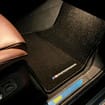 Коврики на BMW X5 (G05/G18) 2018 - 2025 в Уфе