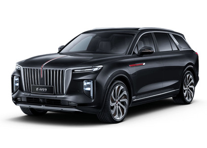 Коврики на Hongqi E-HS9 2022 - 2025 в Уфе