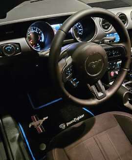 Ворсовые коврики на Ford Mustang VI 2013 - 2023 в Уфе Ворсовые коврики на Ford Mustang VI 2013 - 2023 в Уфе