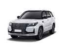 EVA коврики на Changan CS95 2016 - 2025 в Уфе
