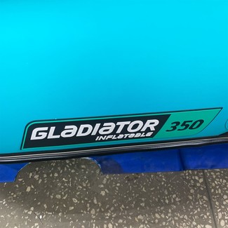 Коврики на Лодки Gladiator E350S  в Уфе