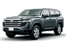 Коврики на Toyota Land Cruiser 300 2021 - 2025 в Уфе