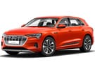 EVA коврики на Audi Q8 e-tron 2022 - 2025 в Уфе